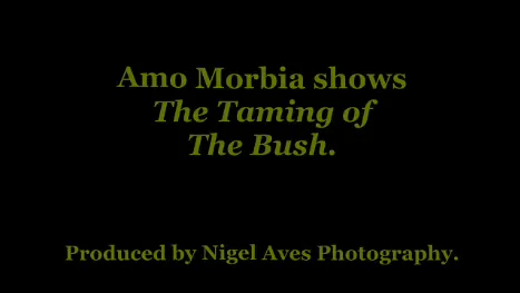 Amo Morbia Videos Both filmed on the same day. I should have smoked a tad more grass. But as always, Amo was perfection.