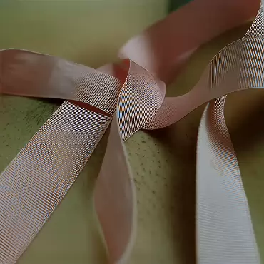 Ribbon and Brittany 009