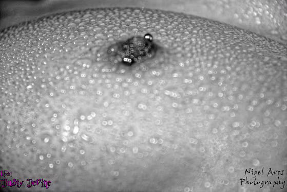 Dusty Devine Dusty Devine