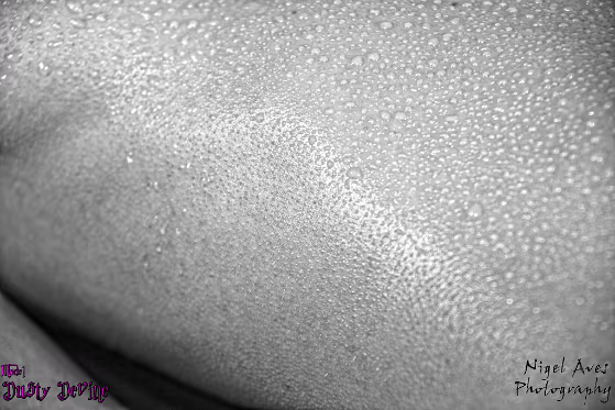 Dusty Devine Dusty Devine