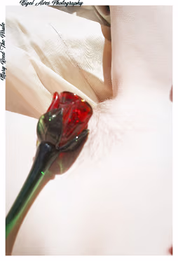 Mary Reed-21-06-2023-142