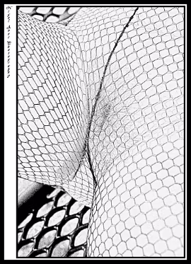 Michelle A shoot at Golden Ponds with Michelle