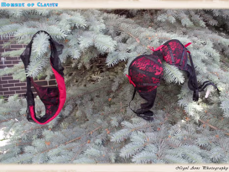 Myss Vee and Cha Tara