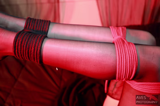 Savage Van Sage Savage Van Sage