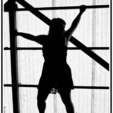 Silhouette 003
