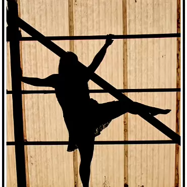 Silhouette 004