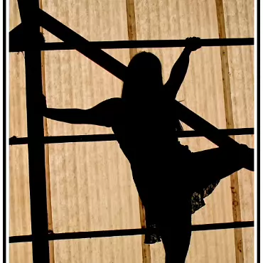 Silhouette 005