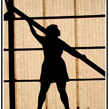 Silhouette 008