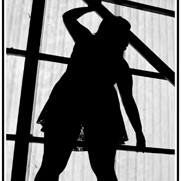 Silhouette 014