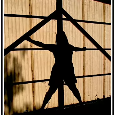 Silhouette 016