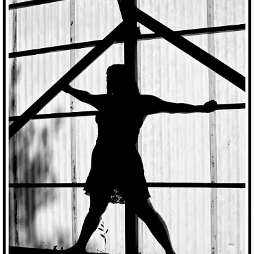 Silhouette 017