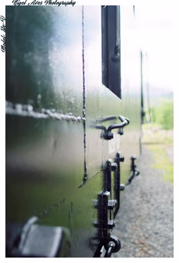 Ste-v-25-06-2023-231