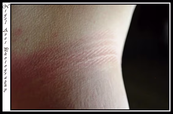 The Dreamhouse The Dreamhouse, Denver. originally taken for publicity photographs.