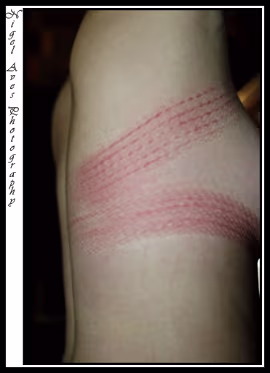 The Dreamhouse The Dreamhouse, Denver. originally taken for publicity photographs.