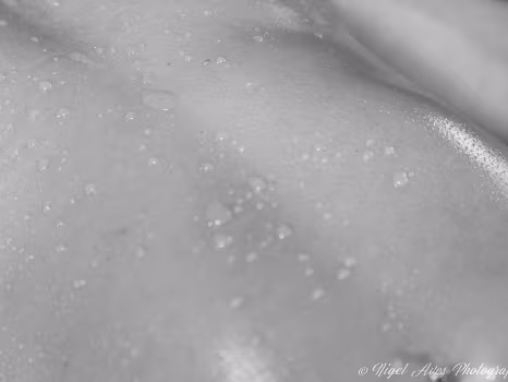 Aiyana Oil and Water